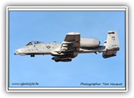 A-10C USAF 80-0141 DM_1